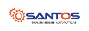 Logo Footer